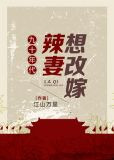 九十年代辣妻想改嫁txt下载