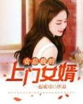 女总裁的上门女婿(又名超级上门女婿)